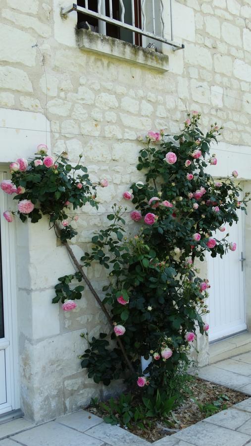 Bed and Breakfast Moulin De Reigner Anche  Екстер'єр фото