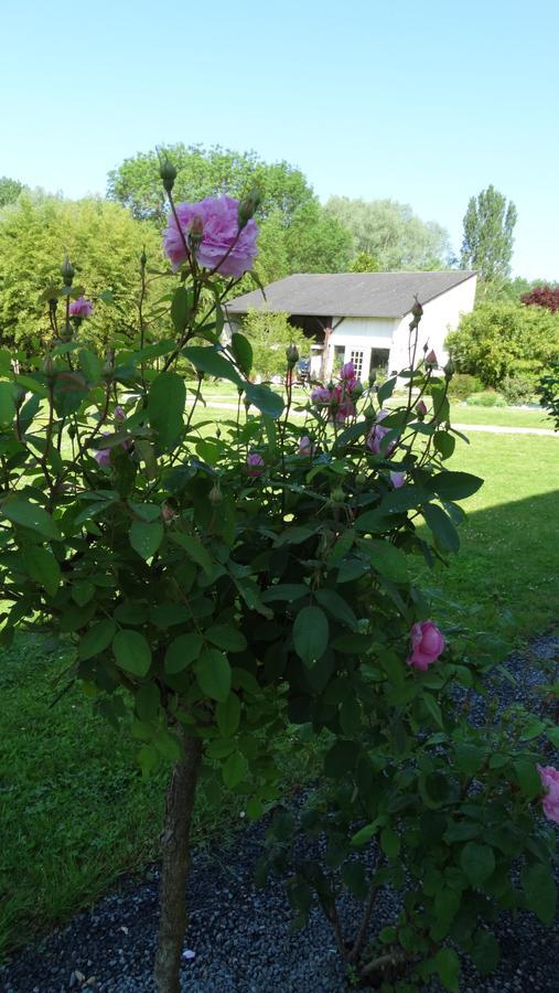 Bed and Breakfast Moulin De Reigner Anche  Екстер'єр фото